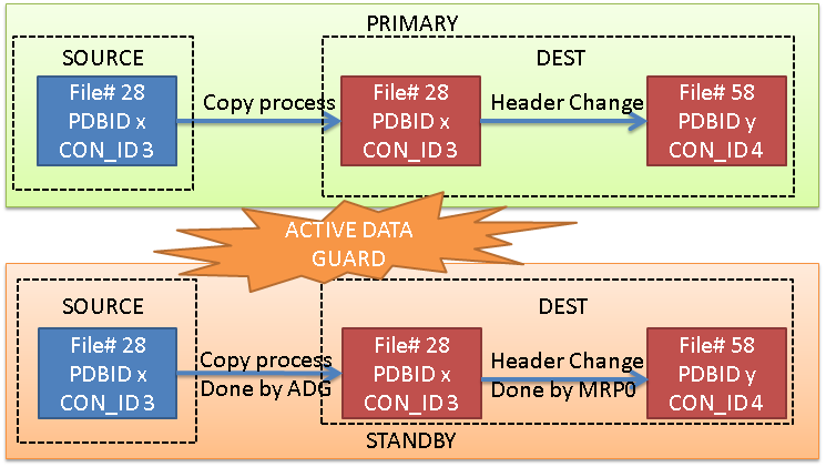 ADG_PDB_copy