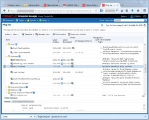 2015-08-19 13_54_00-Plug-ins - Oracle Enterprise Manager