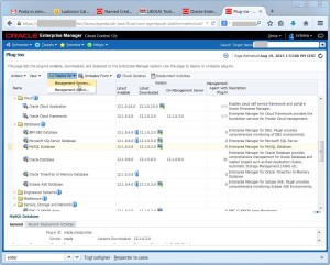 2015-08-19 13_54_24-Plug-ins - Oracle Enterprise Manager