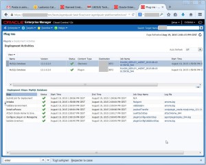 2015-08-19 14_01_25-Plug-ins - Oracle Enterprise Manager