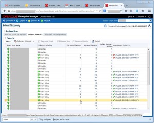 2015-08-19 14_03_48-Setup Discovery - Oracle Enterprise Manager