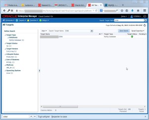 2015-08-19 14_22_56-All Targets - Oracle Enterprise Manager