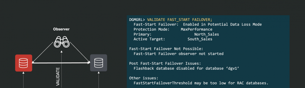 The execution of the VALIDATE FAST_START FAILOVER command reports some example errors.